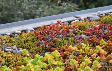 the cost of Stallington green roof installation