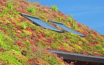 Stallington living roof systems