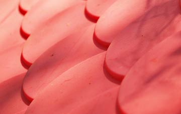 Stallington plastic roof costs