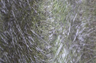 Stallington fibreglass roof work